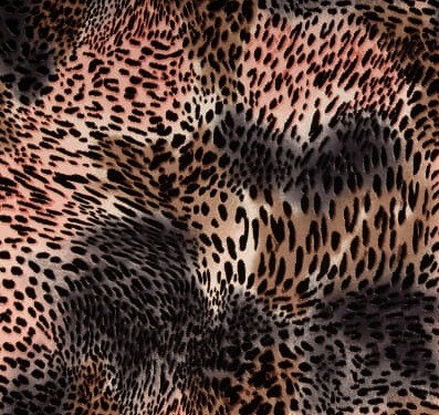 Blush Cheetah